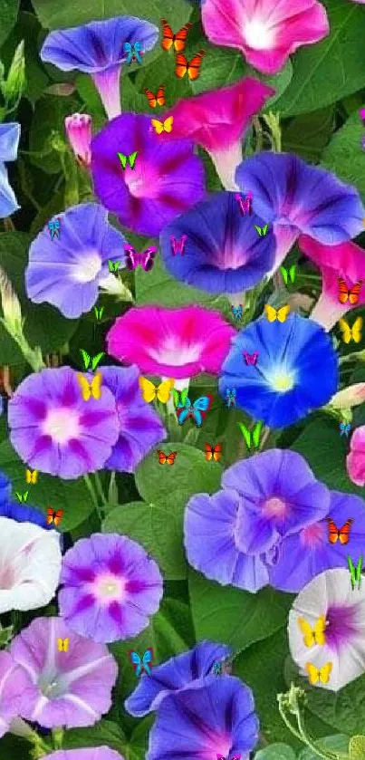 Vibrant morning glory flowers with lush green leaves.