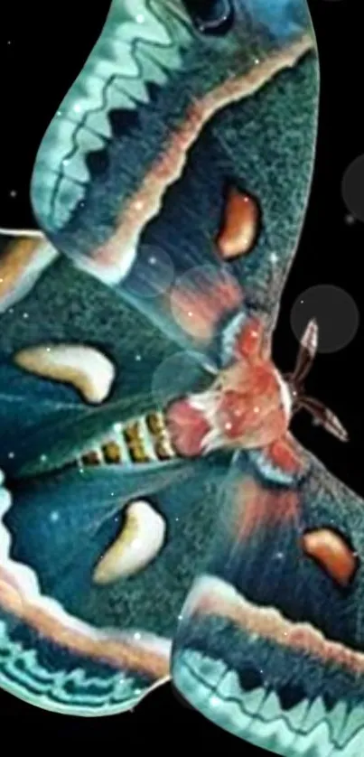 Vibrant teal moth against a starry black sky.