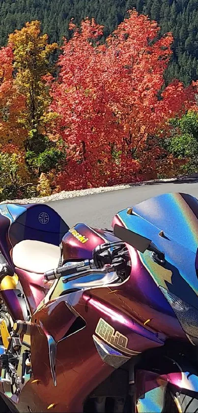 Vibrant motorcycle against autumn foliage backdrop.