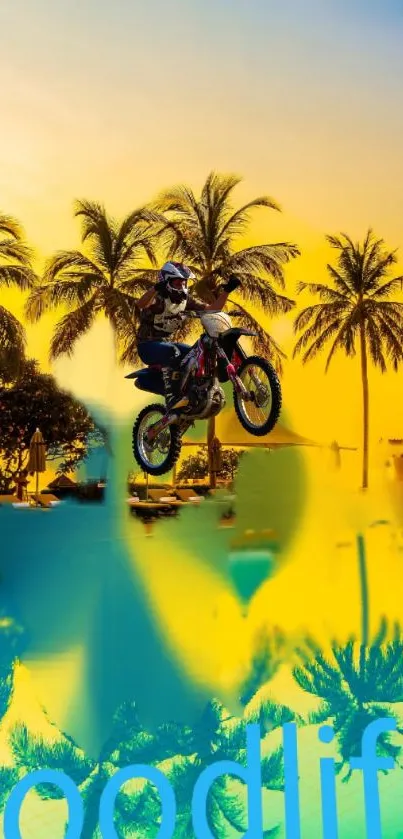 Motorcyclist jumps in front of beach sunset with palm trees.