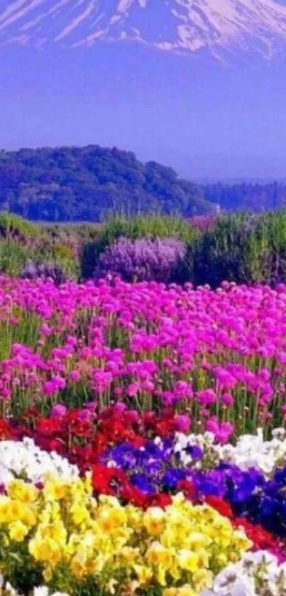 Purple mountain backdrop with vibrant flower field scene.