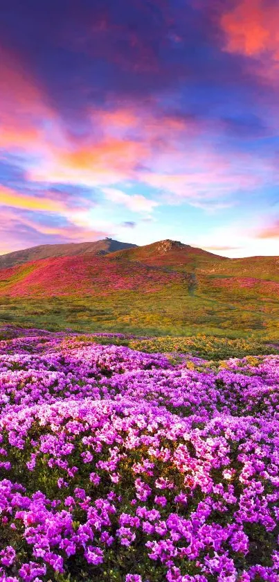 Vibrant mountain with purple flowers under a colorful sunset sky.