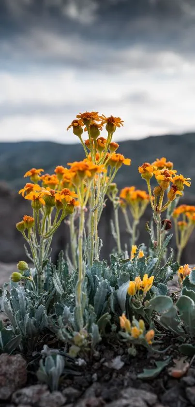 Yellow flowers bloom against a mountain backdrop.