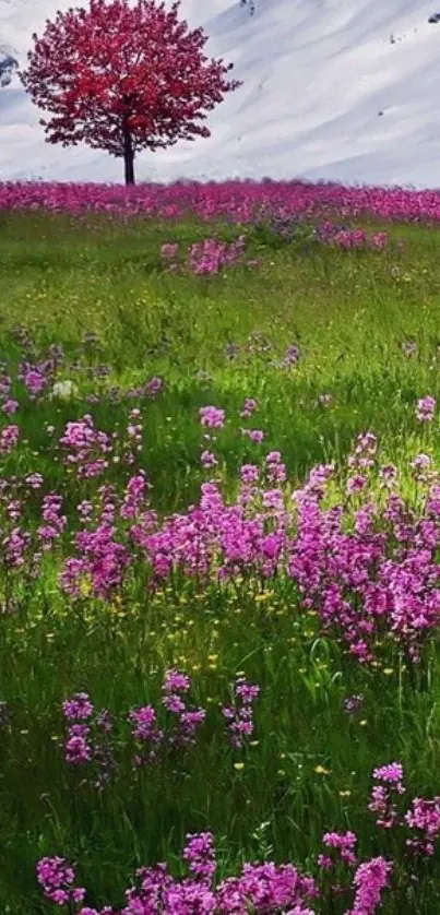 A picturesque landscape with pink flowers and snowy mountains.