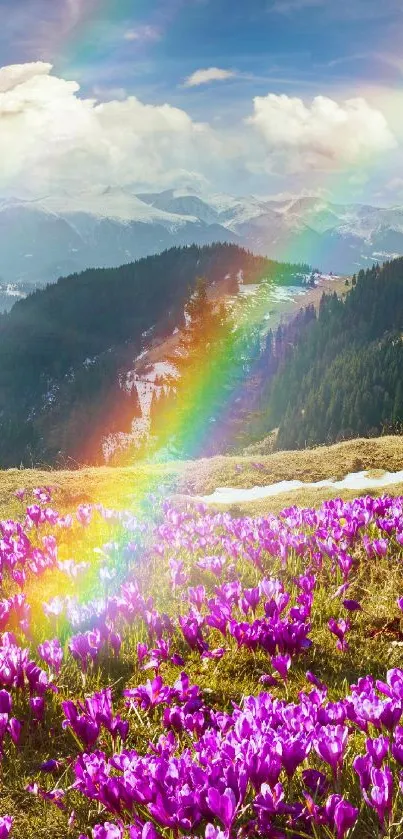 Purple flowers and rainbow in mountain scenery wallpaper.