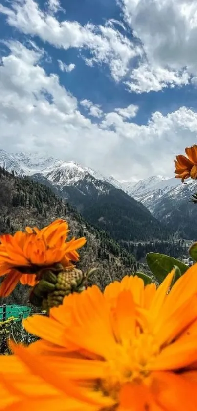 Orange flowers with mountains in background.