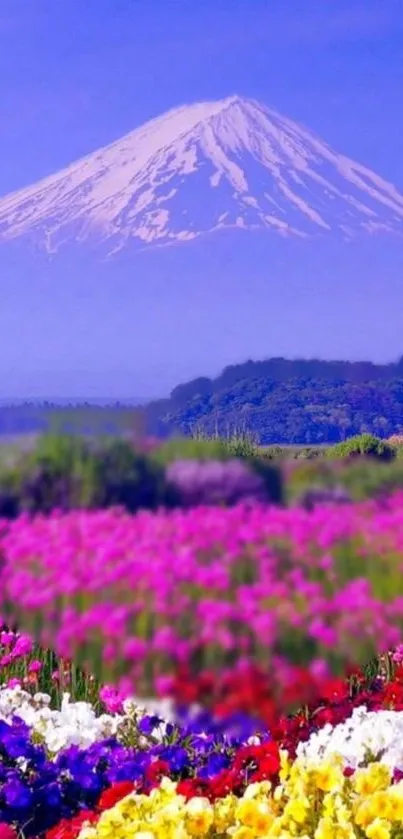 Colorful flowers in front of a snow-topped mountain range.