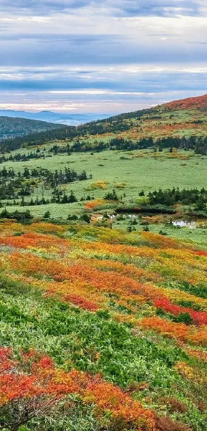 Man hiking through vibrant autumn mountain landscape.