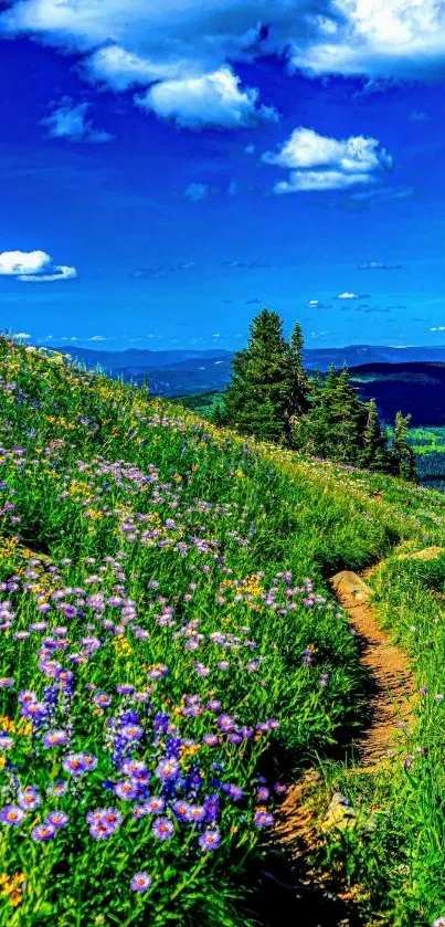 A vibrant mountain meadow with flowers under a blue sky.