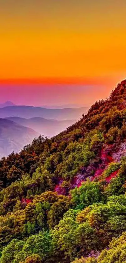 Vibrant orange sunset over a lush mountain landscape.