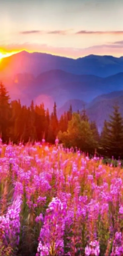 Vibrant sunset over mountains with pink wildflowers and trees.