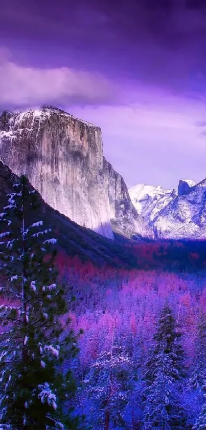 Purple mountain valley with snow-dusted trees.