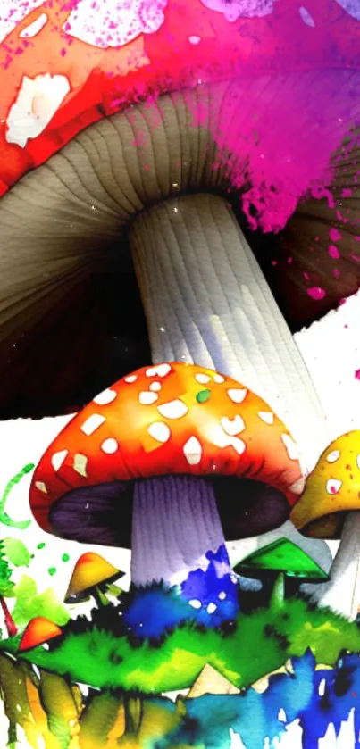 A vibrant and colorful artistic mushroom wallpaper with splashes of creativity.