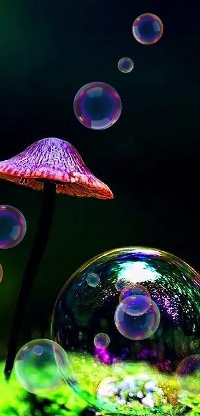 Colorful mushroom with reflective bubble in nature.