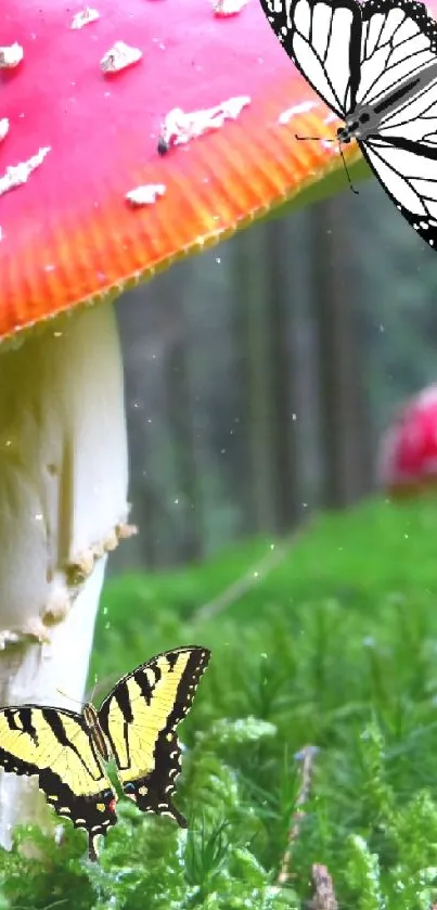 Two butterflies on red mushrooms in a green forest.