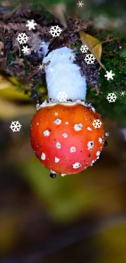 Red mushroom amid green forest leaves creates a striking mobile wallpaper.