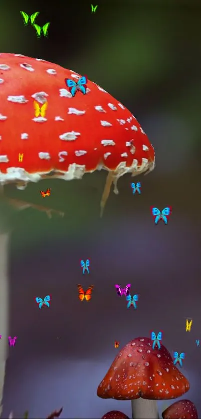 Vibrant red mushroom in natural forest setting.