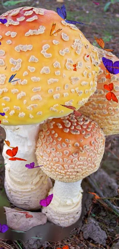 Vibrant yellow mushrooms on forest floor with earthy background.