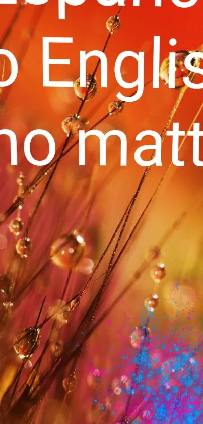 Vibrant orange nature abstract wallpaper with droplets.