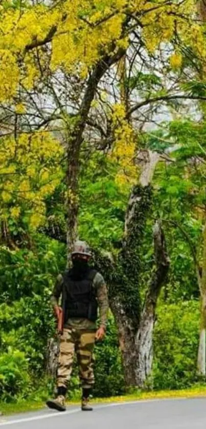 A lone soldier walks along a road surrounded by lush green and yellow trees.