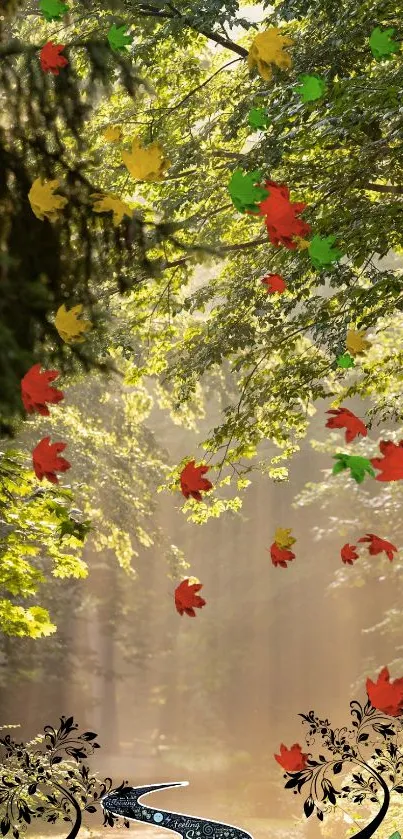 Vibrant forest scene with colorful autumn leaves and sunlight filtering through.