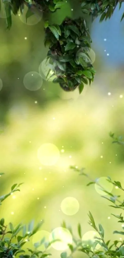 Vibrant green nature wallpaper with bokeh lights and leaves.