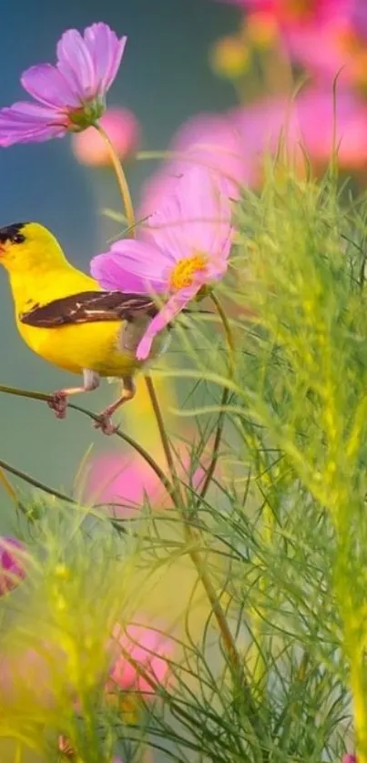 A vibrant yellow bird among pink flowers.