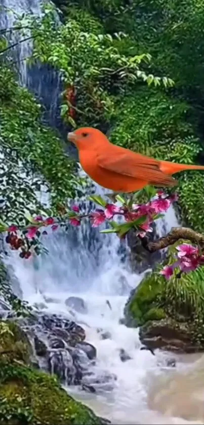 Red bird on branch with waterfall background.