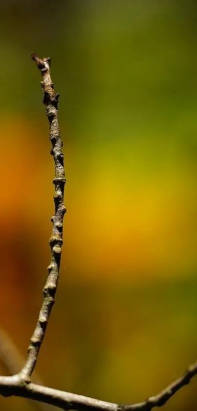 Delicate branch against blurred green background for mobile wallpaper.