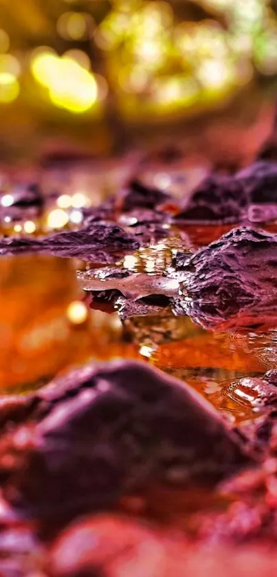 Vibrant close-up of textured rocks with orange and red hues.