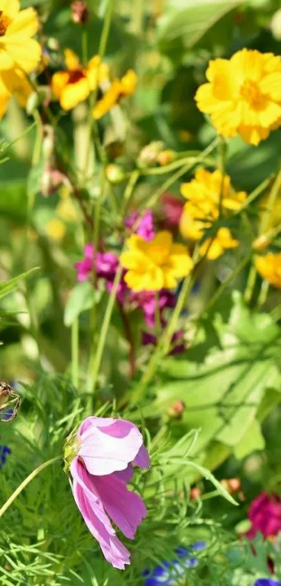 Vibrant yellow and pink floral wallpaper with green foliage.