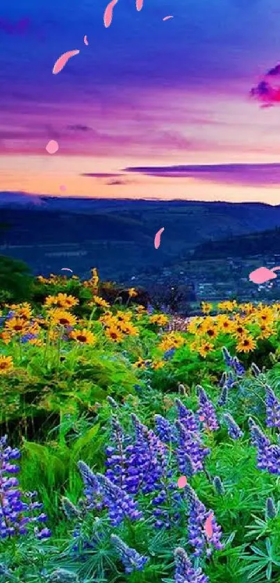 Vibrant sunset over a field of colorful wildflowers.