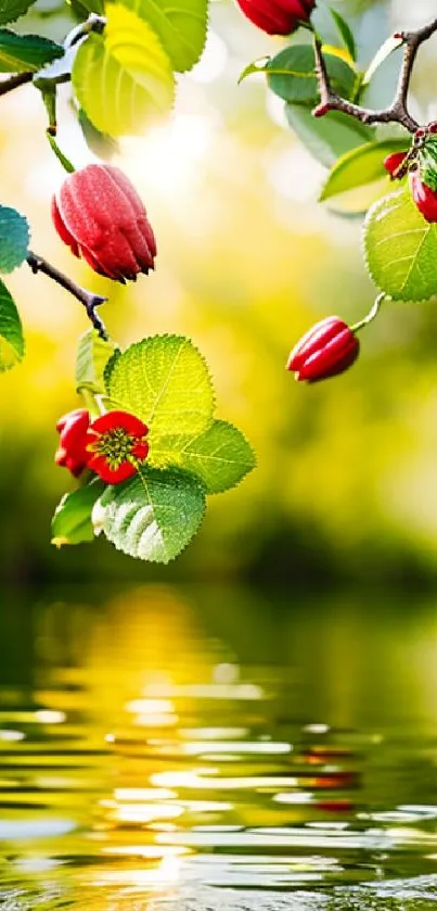 Green leaves and red flowers reflecting in serene water.