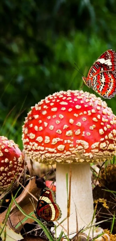 Colorful mushroom with butterfly in lush green setting.