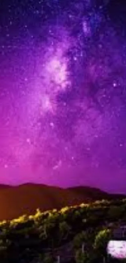 Vibrant forest and purple sky wallpaper for phones.