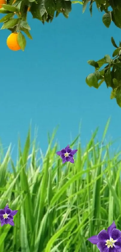 Vibrant nature wallpaper with blue sky, green grass, and colorful flowers.