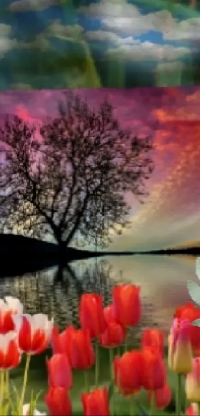 Serene sunset with tulips and tree reflection.