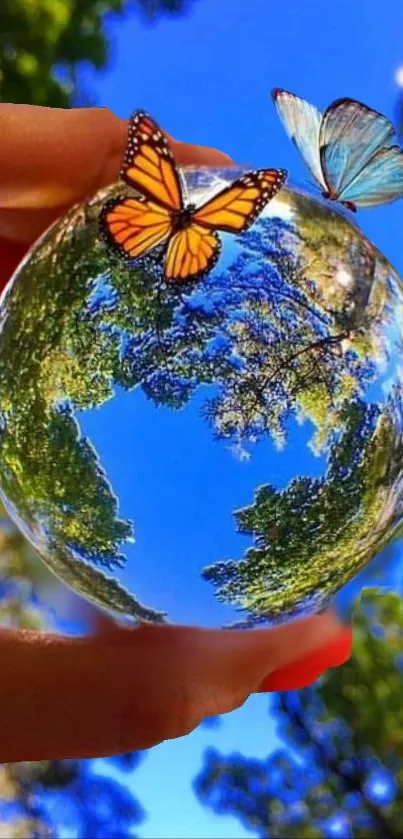 Sphere with butterflies against a blue sky reflecting trees.