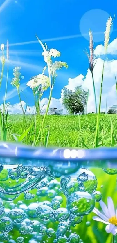 Vibrant summer nature wallpaper with green fields and blue water.