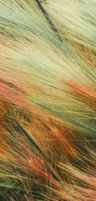 Colorful abstract texture of autumn grass as mobile wallpaper.