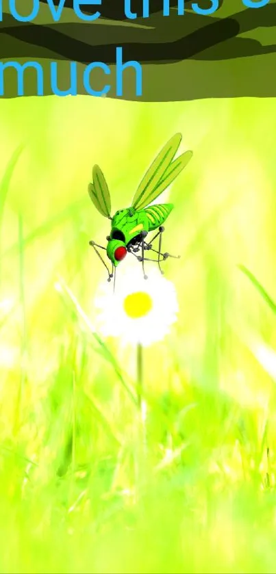 Fly on daisy in vibrant green field wallpaper.