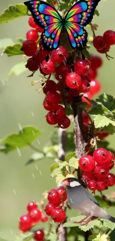 Colorful butterfly, bird, and berries on a green branch wallpaper.