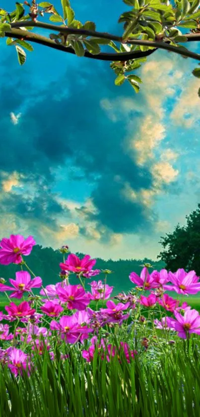 Nature wallpaper with pink flowers and blue sky.