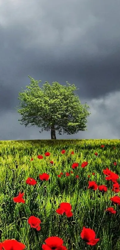 Lone tree amidst vibrant red poppy field under a dramatic sky.