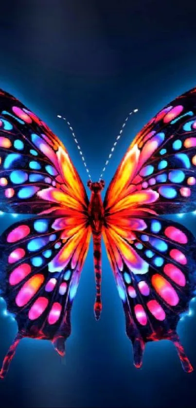 Bright neon butterfly with colorful patterns on a dark background.