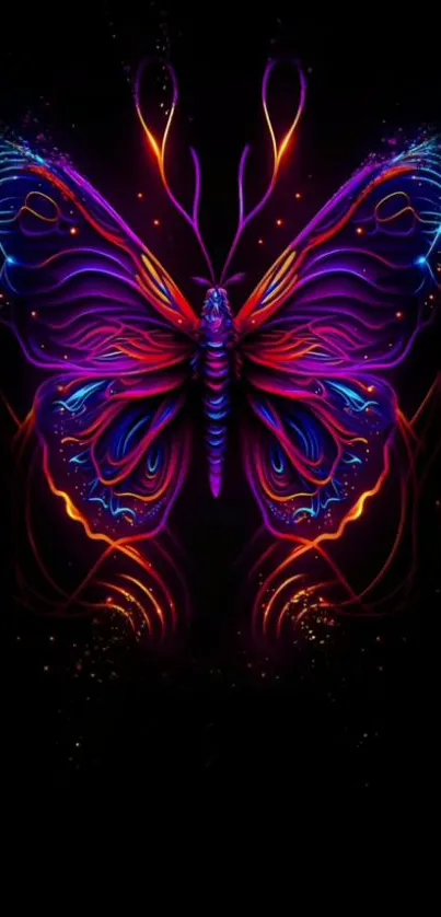 Neon butterfly with glowing, vivid colors on black background.