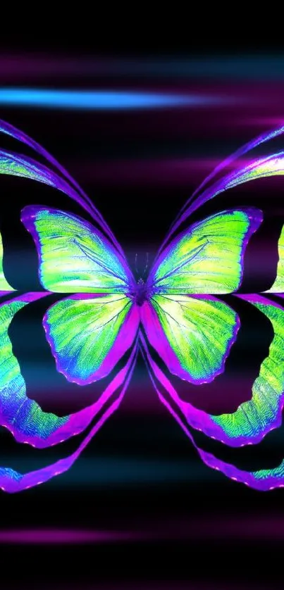 Neon green and pink butterfly on black background wallpaper.