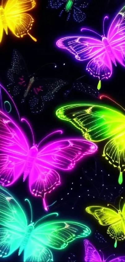 Vibrant neon butterflies glowing on a dark background, creating a colorful display.