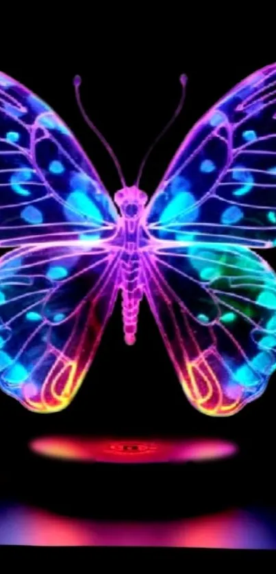 Vibrant neon butterfly with glowing colors on a black background.