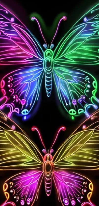 Neon butterflies with vibrant colors on a black background.